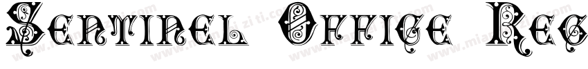 Sentinel Office Regu字体转换
